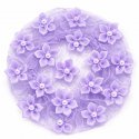 Dasha Star Flower Buncover 2114